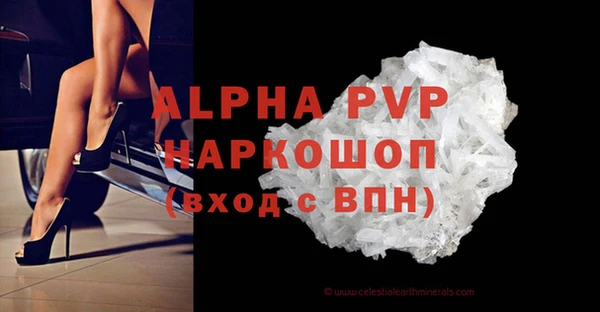 прущие грибы Новодвинск