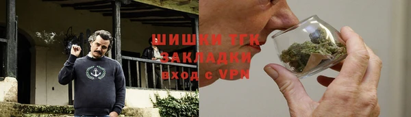 прущие грибы Новодвинск
