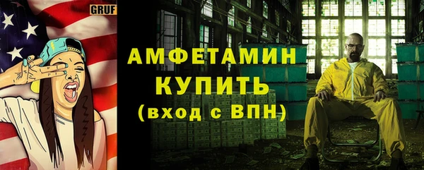 прущие грибы Новодвинск