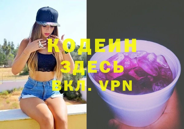 прущие грибы Новодвинск
